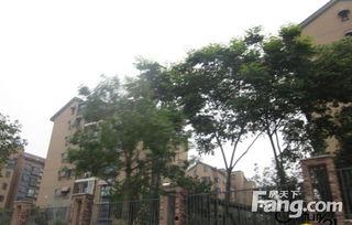 龙游龙湖湾小区最新爆料,揭秘神秘项目与周边发展动态