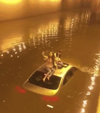 丝袜gif图番号出处,探寻热门GIF番号背后的故事