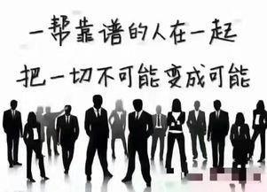 晓航团队爆料视频播放大全,视频播放大全精彩回顾