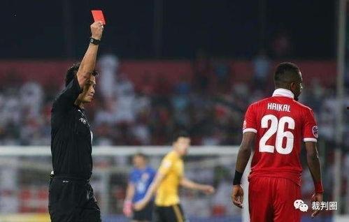 2015广州恒大亚冠视频