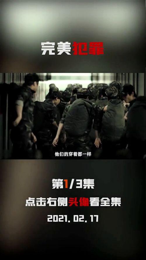 完美犯罪日本电影,揭开日本影坛悬疑迷雾的惊悚篇章