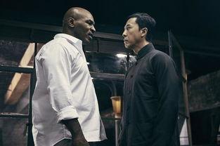 叶问3在线播放,传承武术精神，再续江湖传奇