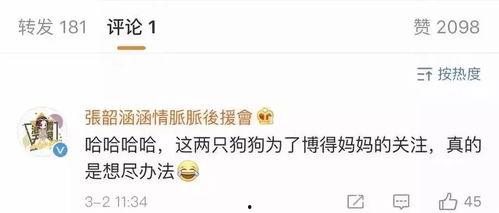 2023年娱乐圈吃瓜合集,盘点年度最热八卦事件