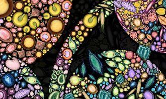 日本的轮回种子,探寻日本传统神话与现代文化的交织之旅