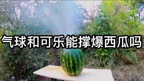 可乐爆料西瓜视频,西瓜视频背后的秘密大揭秘！