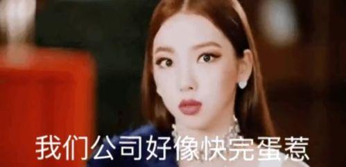 吃瓜娱乐社赵茹珍,吃瓜娱乐社的“瓜王”传奇